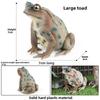 Animal Childrens Frog Plastic Model Toy For Educational Play Gift Collectors