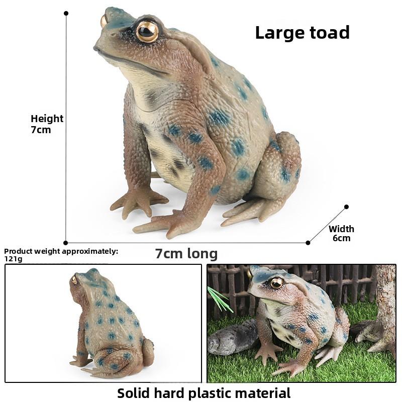 Animal Childrens Frog Plastic Model Toy For Educational Play Gift Collectors