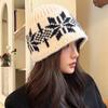 Retro Snowflake Knitted Woolen Hat for Women In Winter Korean Style Face Showing Small Cold Hat Baotou Hat Warm Ear Protection Fisherman Hat