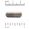 Organic Chaga Mushroom + Ginger, 60 Veggie Capsules