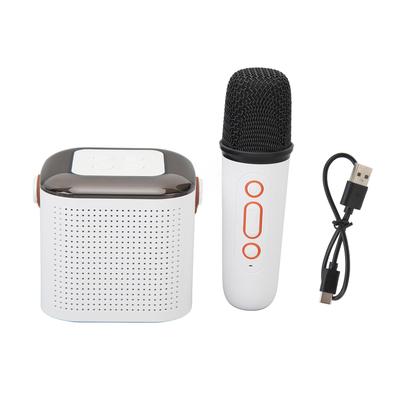 Bluetooth Karaoke Machine Multifunctional HiFi Sound Portable Bluetooth Speaker with Microphone for