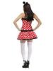 Fun World 120874 Minnie Mouse Dress Costume for Women (S/M)