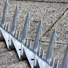 304 Stainless Steel Anti-Climb Wall Spikes