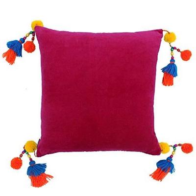 Velvet Tassel Cushion Cover