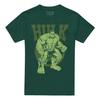 Spiderman: Brand New Day Unisex Adult Hulk T-Shirt