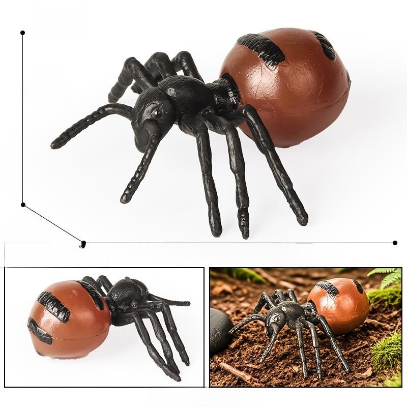 Educational Animal Insect Model Pack Plastic Figures Kid Learning Schooling Home