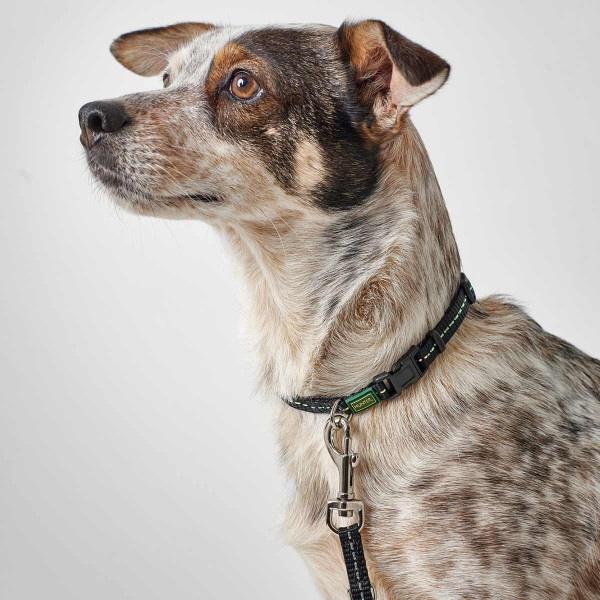 Hunter Berio Dog Leash Trapoli Black Basic XS-S