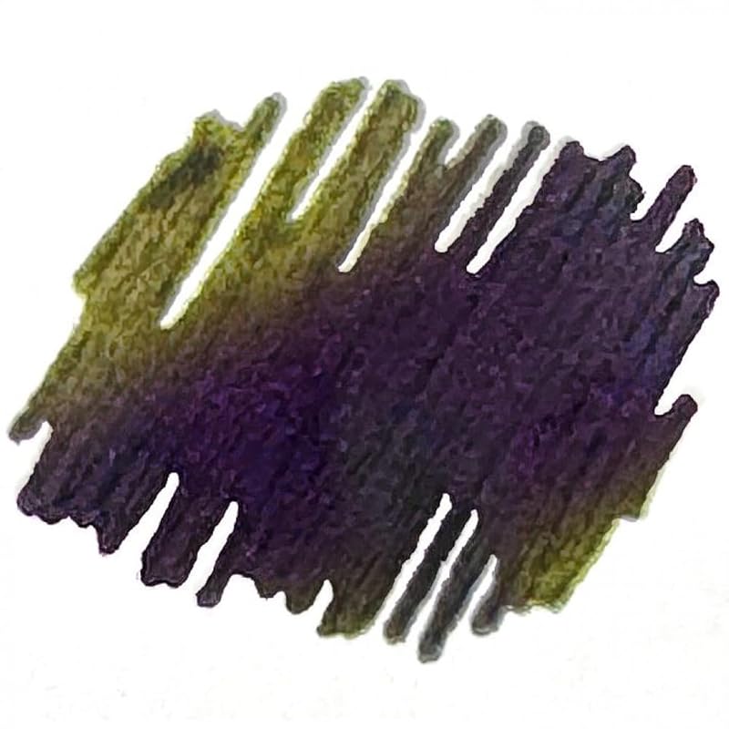 PLATINUM platinum fountain pen fountain pen limited #3776 century Fuji cloudscape series haze 14K Medium letter M PNB-40000FU-2-M