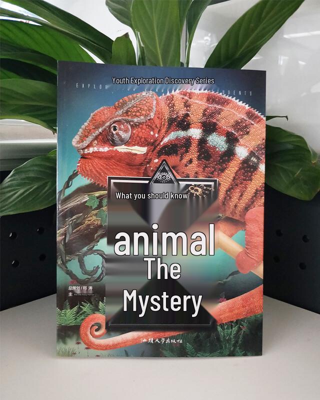 Unsolved Mysteries for Young Explorers Book Series