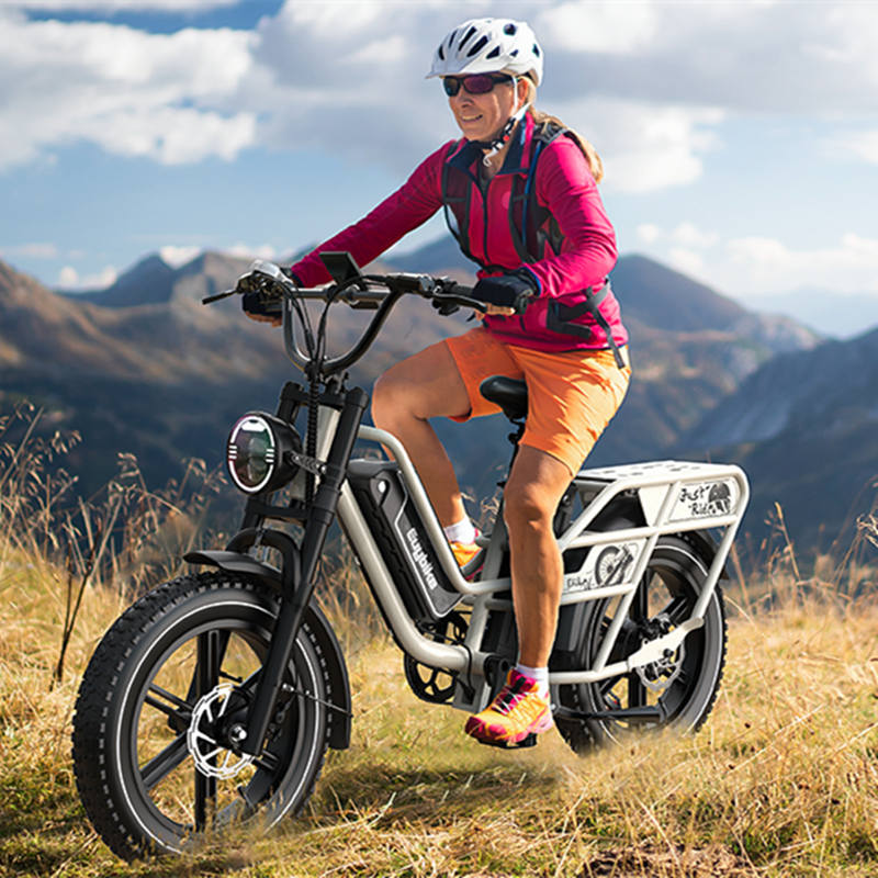 Euybike W1 1000W Motor 48V30AH+30AH Dual Samsung Battery 20 * 4.0-inch Tire Maximum Speed 50KM/H Hydraulic Brake Electric Bicycle