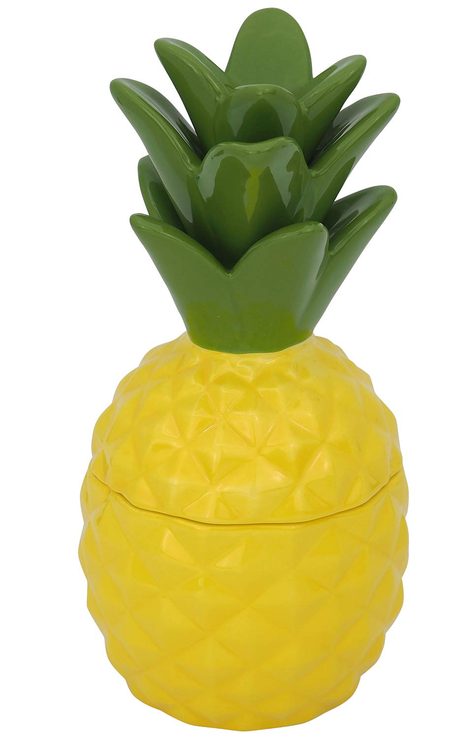 

Sun Art Cute Tableware Vegetable and Fruit Series Pineapple Storage Container/Canister, 380ml (SAN2940)