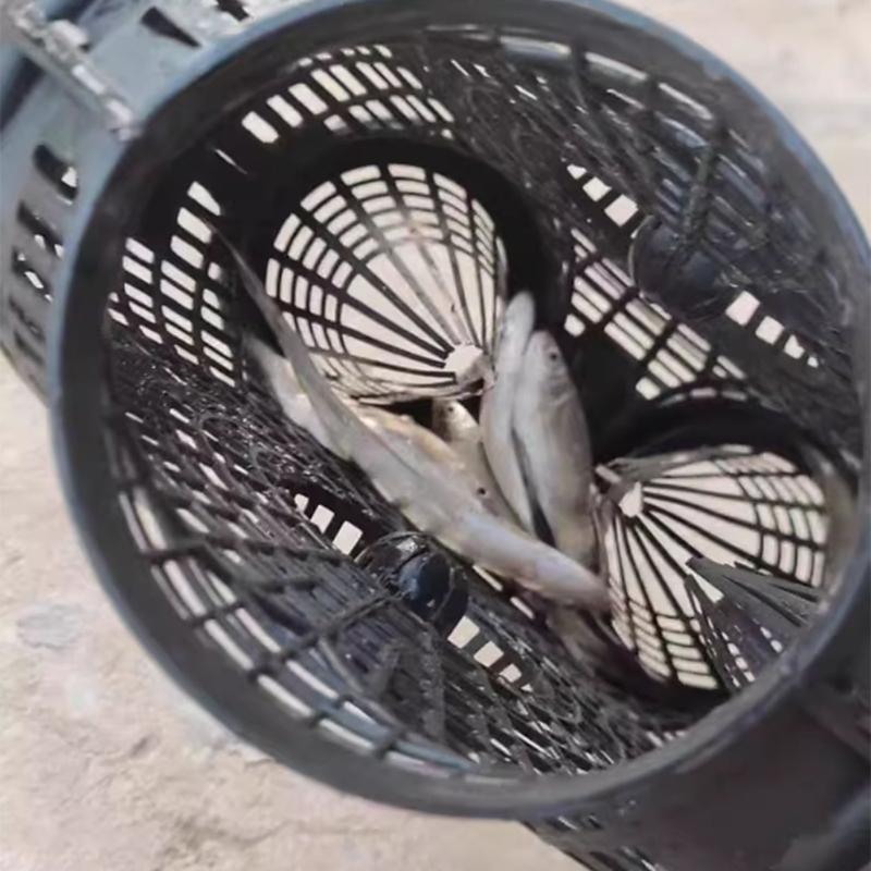 High Efficiency Eel Fishing Trap Fishing Baits Shrimp Crawfish Catcher Lobsters Mesh Trap With Baits Ball And Pull Cord