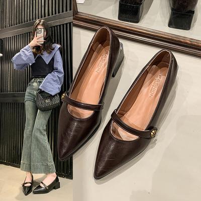 Pointed Commuter Shallow Mouth Single Shoes Women's Spring and Autumn French Retro Casual Evening Thick Heel Fashion Mary Jane Small Leather Shoes