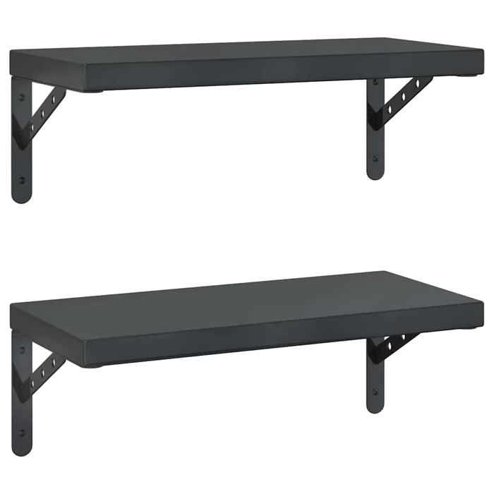 VidaXL Étagères murales 2 pcs 50x23,5 cm noir acier inoxydable, étagère flottante, étagère murale d'exposition, panneau 3214519