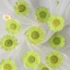 12 PCS/Set Pressed Dried Flowers for Scrapbooks Making Natural Flower For Epoxy Resin Pendant Necklace Jewelry Making Craft