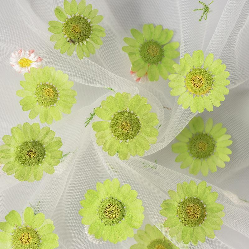 12 PCS/Set Pressed Dried Flowers for Scrapbooks Making Natural Flower For Epoxy Resin Pendant Necklace Jewelry Making Craft