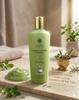 TVISHA SOUNDARYA Kruiden Haarshampoo voor Diepe Reiniging & Voeding | Anti Haaruitval Shampoo voor Mannen & Vrouwen | Sulfaatvrije Dagelijkse Shampoo fo