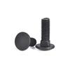 High-Strength Grade 8.8 Carriage Bolts: Round Head, Square Neck, M6-M16 Sizes for Shelf and Bridge Frames