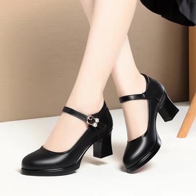 6cm 9cm Breathable Comfortable Shallow Mouth Soft Leather Shoes Mary Janes 2025 Spring Med Block Heels Shoes for Office Mom