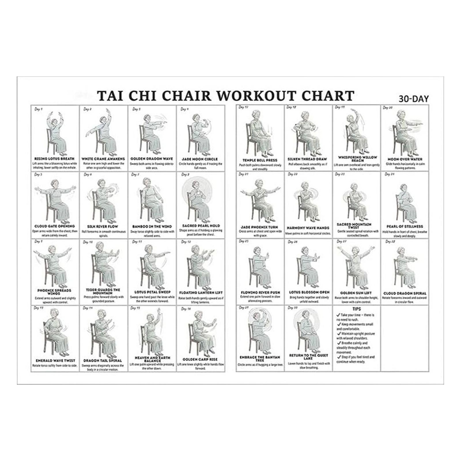 

11.81 X 17.72 Inch Canvas Tai Chi Chair Workout Chart Poster Hanging Tai Chi Printing Easy Display for Living Room Bedroom Home
