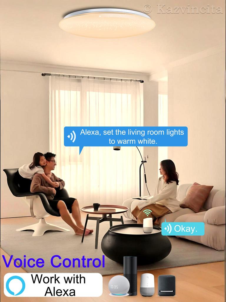 Chysongoods 50cm 55W LED Deckenleuchte Dimmbar & Farbtemperatur Einstellbar RGB Ambiente Integrierter Bluetooth-Lautsprecher Alexa Kompatibel für den Innenbereich