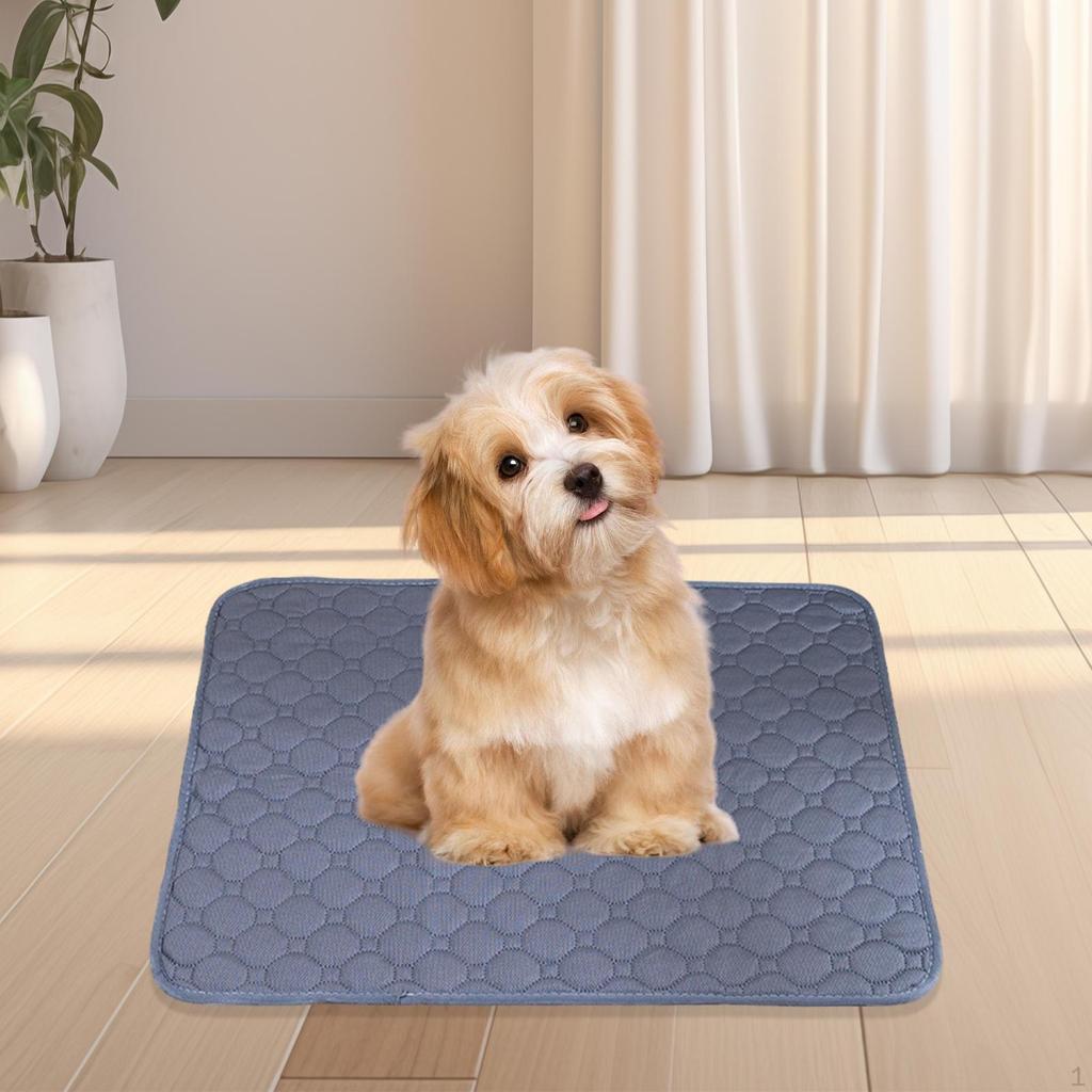 Reusable Dog Training Pad - Absorbent and Durable