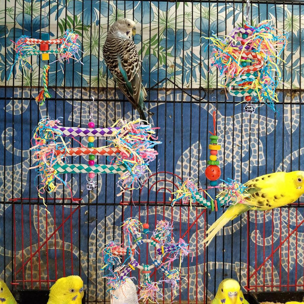 Schredder Vogelspielzeug 5 Stück Kauspielzeug für Vögel Papagei Schredderbedarf Wellensittich Trainingswerkzeug für Sittich Conure