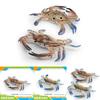 Large Pvc Marine Animal Model Crab Aquarium Ornament For Marine Life Decor