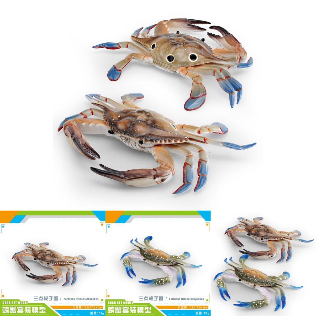 Large Pvc Marine Animal Model Crab Aquarium Ornament For Marine Life Decor