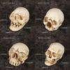 Halloweenská lebka Dekorace Miniaturní pryskyřičná figurka Pro párty a jako dárek