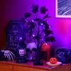 24 Inches Halloween Tree with Light LED Glowing Tree with Ghost/Pimpkin/Eyeball Light for Indoor Home Table Decor