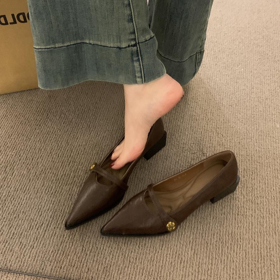 Pointed commuter shallow mouth single shoes women's spring and autumn retro casual thick heel fashion Mary Jane small leather shoes