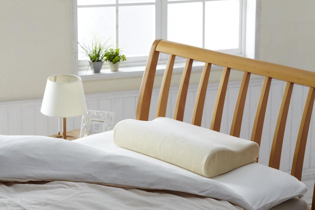 Shop Japan True Sleeper Premium Neck Fit Pillow TRS-NEWS TRS-NEWS [Authentic]