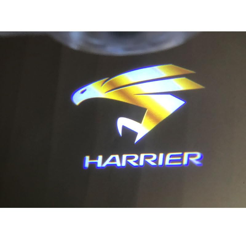 Ltsplay Courtesy Lamps, Car Door Welcome Lights, Courtesy Lights, LED Logo Projector Lights, Adjustable Angle, Set of 2