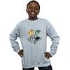 Harry Potter Boys Hogwarts Painted Crest Sweatshirt