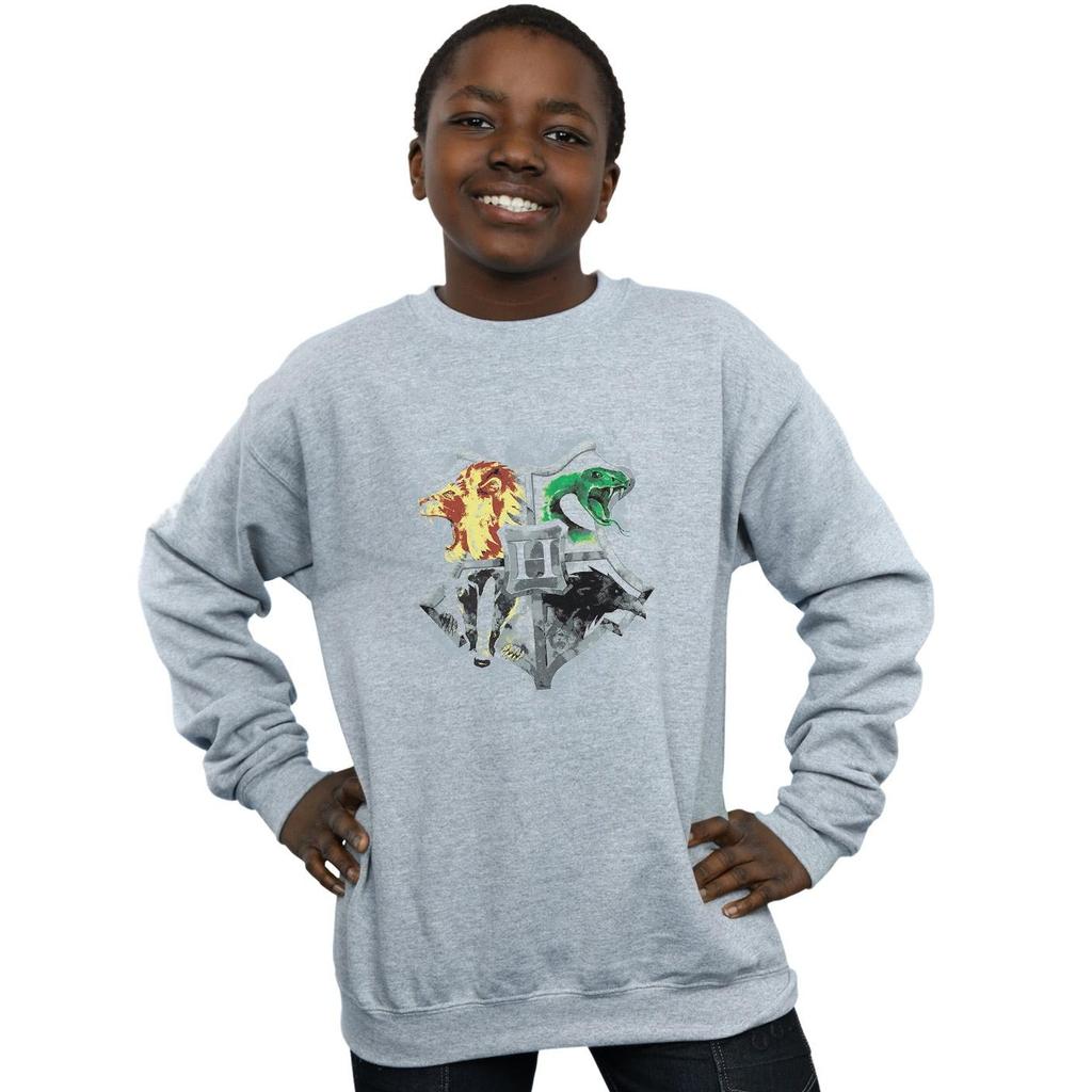 Harry Potter Boys Hogwarts Painted Crest Sweatshirt