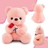 RANJIMA Teddy Bear with Rose, 35cm Pink Plush Stuffed Animal Toy Pillow Birthday Valentine's Day Gift for Girlfriend Women