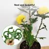 10Pcs Plant Supports Stakes Flower Stand Sticks Reusable Plant Clips Bonsai Fixing Tool Flower Grow Holder Garden Decor Supplies