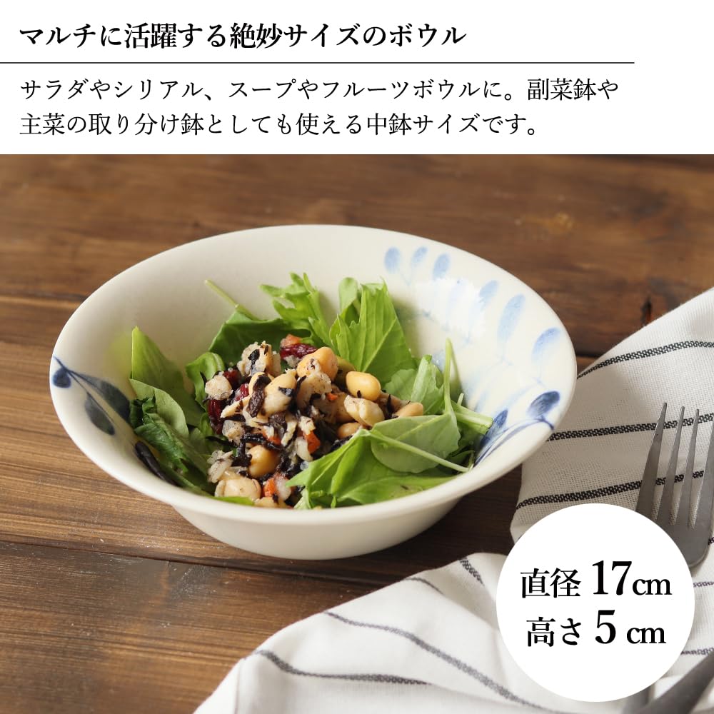 Dolce Duo Set of 4 Curry Pasta and and Side Lightweight Made In Japan CG-1575 Plates, Plates, Bowls, Large, Medium, Plates, Tableware,