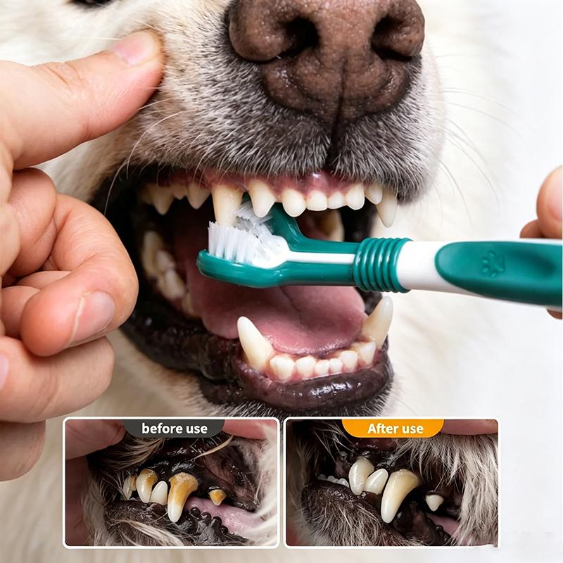 3-Sided Pet Toothbrush Dog Plastic Toothbrush Removing Tartar Cleaning Mouth Pet Care Cat Cleaning Mouth Dog Accessories
