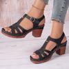 Fashion Women's Summer 2025 New High Heel Sandals Korean Style Fish Mouth Thick Heel Buckle Strap Shoes Large Size Women's Sandals