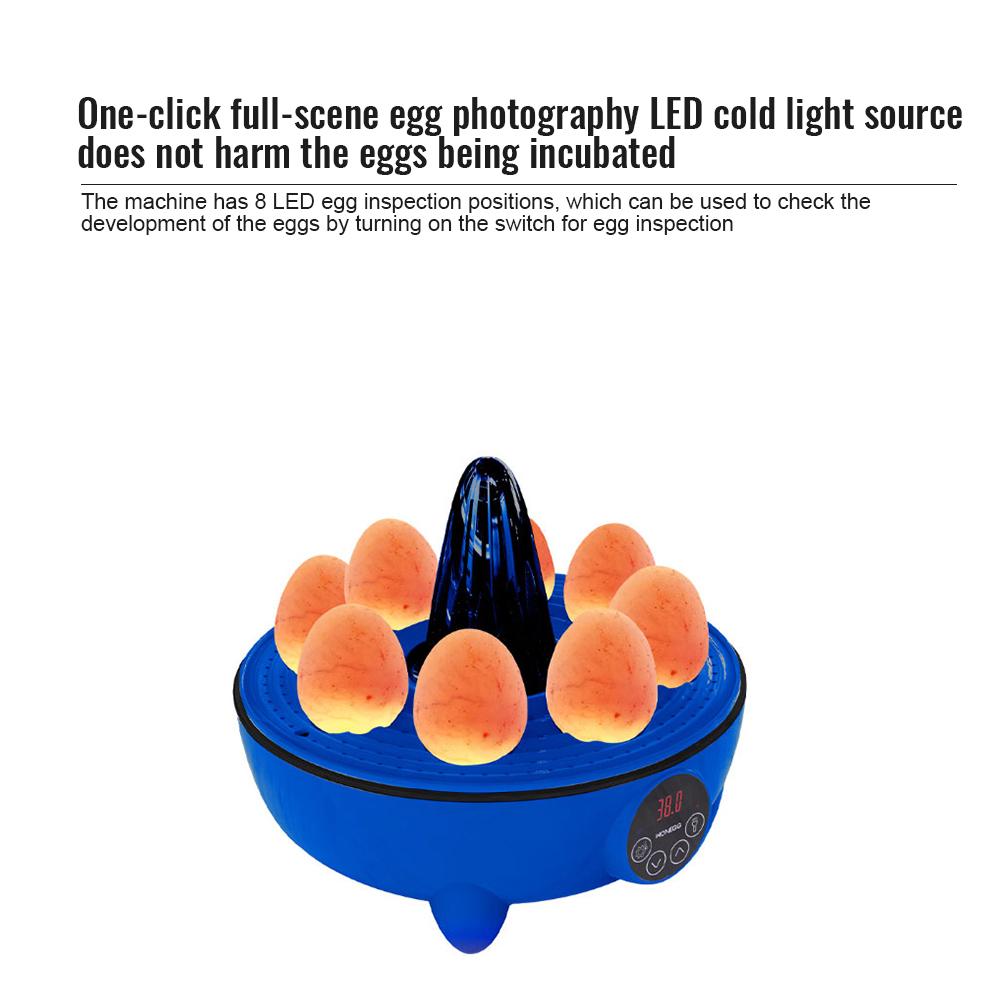 Incubators for Hatching Eggs 8 Egg Incubator with LED Light Temperature Control 360 Degree View