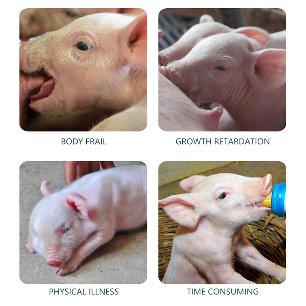 5 Tetinas Colgantes Botella Alimentadora Para Corderos Terneros Cachorros Duradera Herramienta de Lactancia Multi Animal Equipo de Bebida para Granja