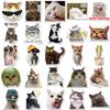 10/30/50pcs Cute Funny Animal Cat Meme Stickers Kawaii Kitten Graffiti Sticker DIY Scrapbook Phone Luggage Diary Decals Toy Gift