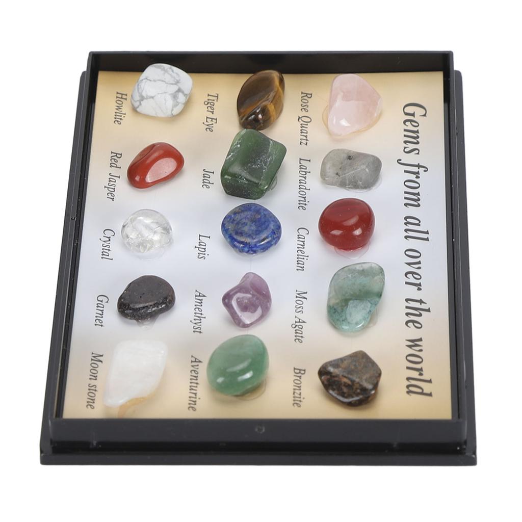 Rock Stone Colletction Kit for Kids Exquisite Science Classroom Rocks and Minerals Collection Minerals Educational