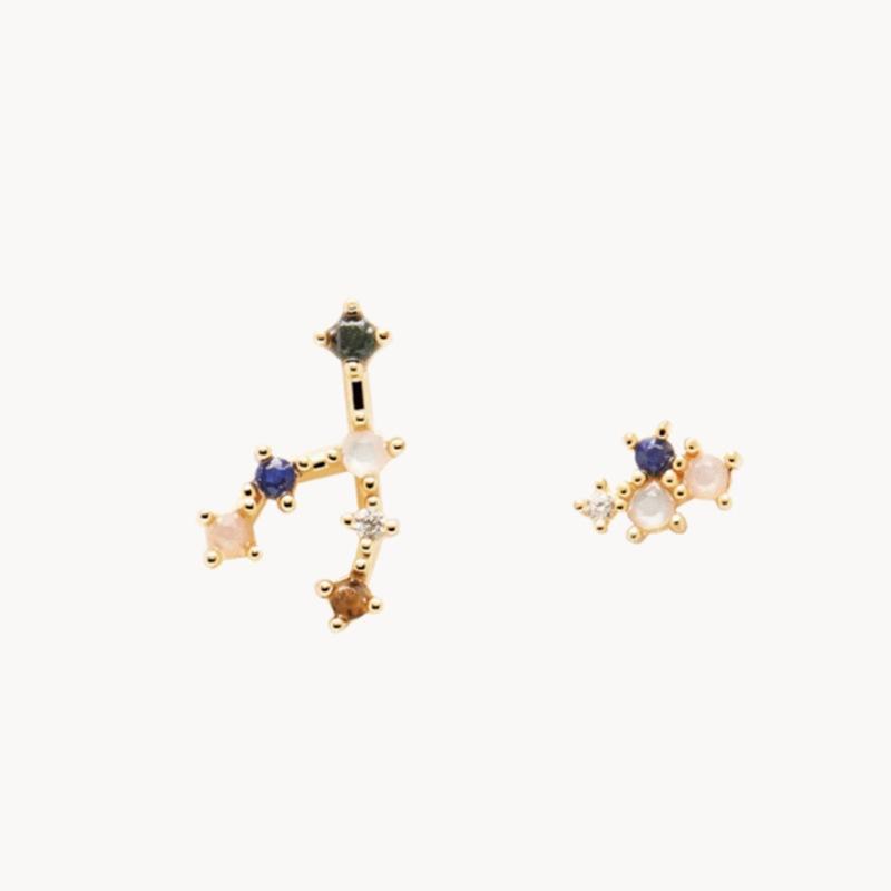 

New 925 Sterling Silver Twelve Constellation Earrings Distinctive Simple Modeling Women Earrings Birthday Gift Exquisite Jewelry