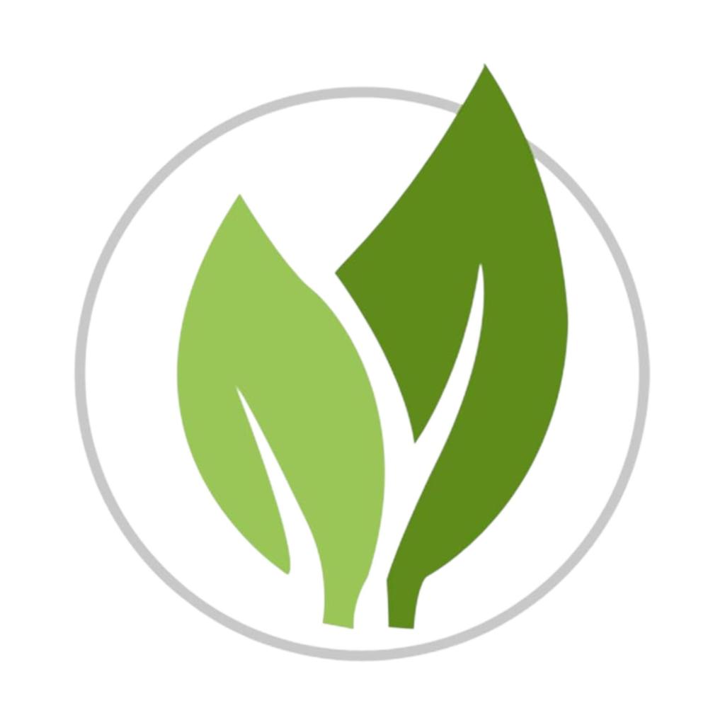 Vicco Vajradanti Ayurvedic Toothpaste Saunf Flavour 18 Herbs For Strong Healthy Teeth 160g Pack of 1