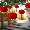 2025 Year of the Snake Flocked Red Lanterns for Outdoor Courtyards - New Year Hanging Ornaments