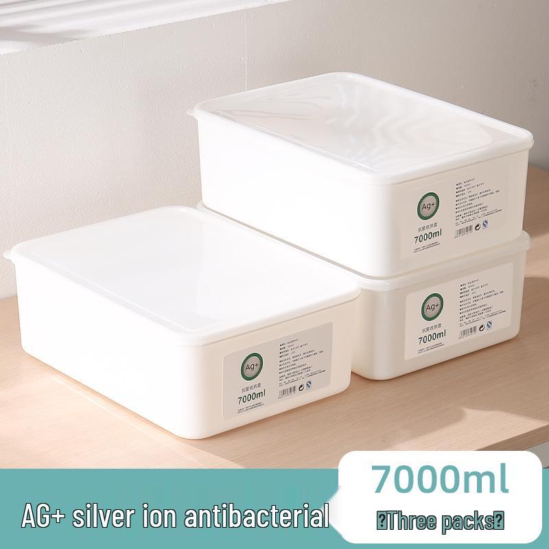 Large Capacity Fresh-Keeping Storage Box for Steamed Buns and Dumplings