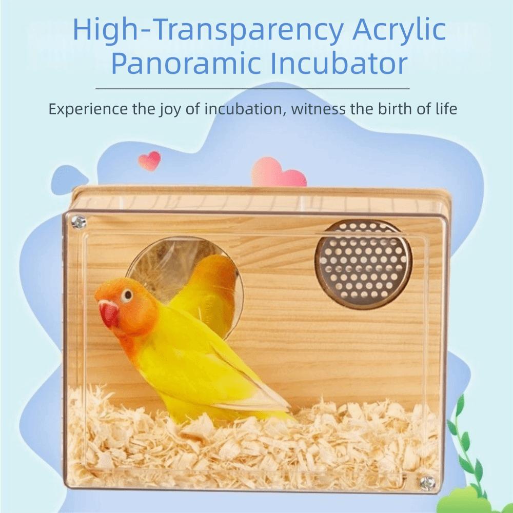 Atmungsaktive Wellensittich-Nistkasten Sichtbarer Vogelkäfig Haus Holznest Vogel Brutzeit